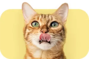 ImagePlaceholder__1_